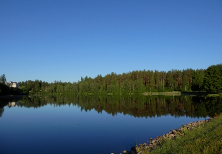 summer morning - morning, summer, pond, blue