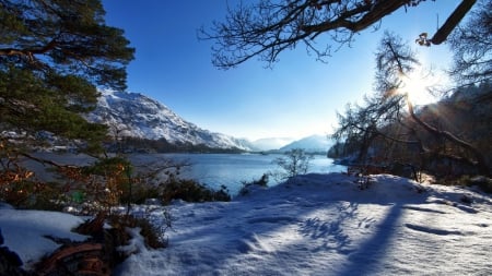 Clear Winter Day - landscape, trees, snow, mountains, twigs