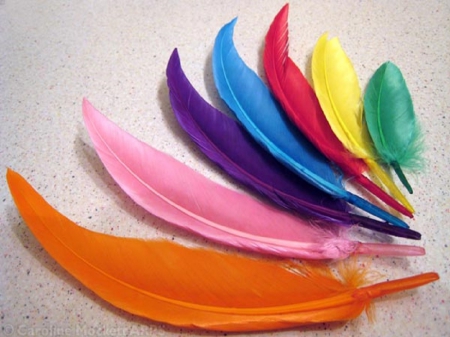 Colourful Feathers - feather, colours, decoration, colourful