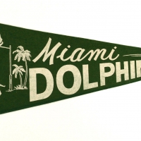 Miami Dolphins NFL football year 1966