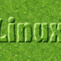 Linux-Moss