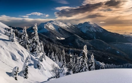 Winter - clouds, trees, winter, snowy, splendor, snow, mountaisn, landscape, winter time, nature, sky