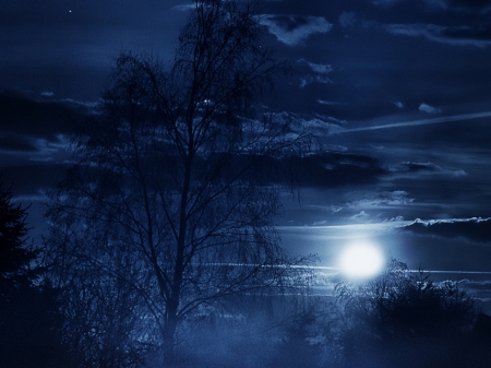 Timeless - moon, night, Timeless, blue