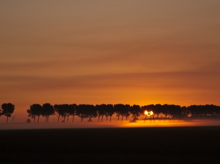 Sunset - trees, nature, amazing, sunset