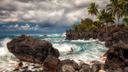 sea crashing on tropical rocky shore - clouds, shore, palms, surf, waves, sea, rocks