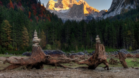 stacked stones on deadwood in nature hdr - forest, stack, hdr, stones, mountains, deadwood