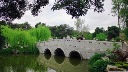 Bridge in China - white, hd, china, 1366x768, bridge