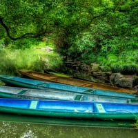 Chinese Dragon Boats