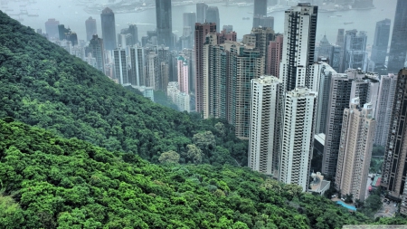 Sight of Hong Kong from the hills - hill, 1366x768, Hong Kong, skyscrapers, HD