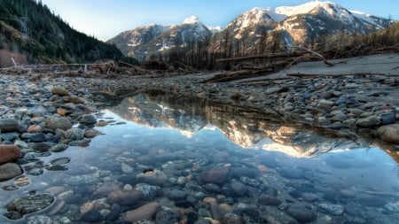 stone filled pool of water - logs, water, pool, mountains, reflection, stones