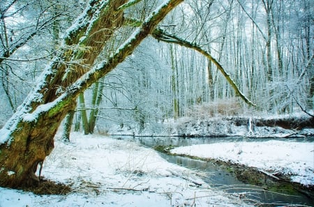 *** Winter river *** - snow, river, winter, nature