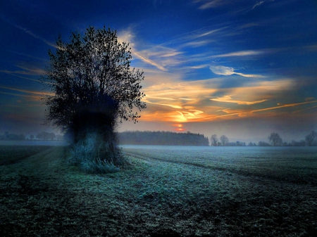 Misty sunset - clouds, winter, sunset, snow, tree