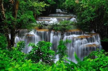 Forest cascades - forest, greenery, water, beautiful, waterfall, branches, lovely, trees, nature, cascades, green