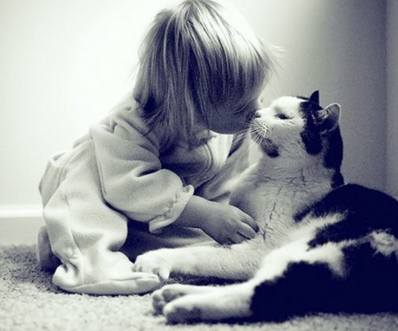 sweet kiss - white, cats, childs, black, photography