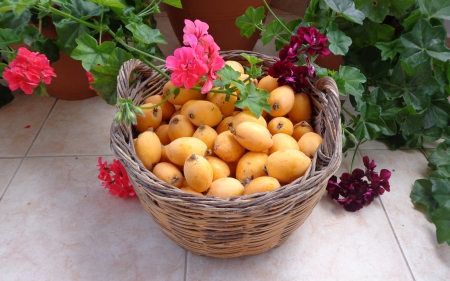 Fres fruit - fresh, loquat, yellow, flowers, basket, old, spring, fruit