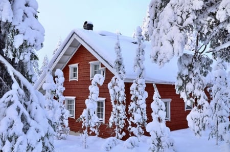 Winter - snow, winter, home, tree