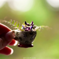 Small Cup Of Flowers