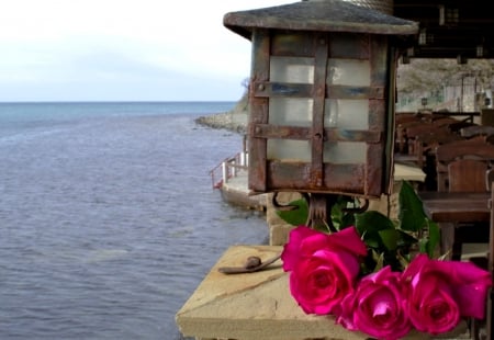 At sea - style, nice, beauiful, colors, flowers