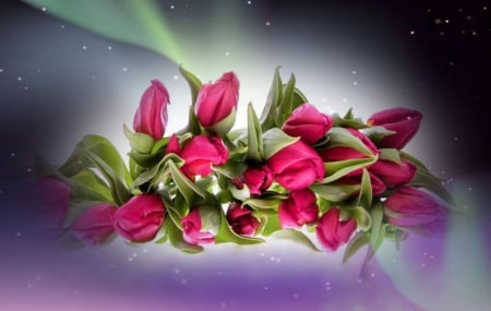 Pink tulips - for, tulips, image, expression, color, goodbye, new, wallpaper