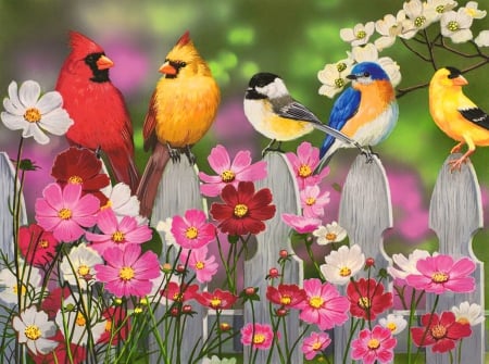 Song birds and cosmos - pretty, blossoms, birds, company, spring, flowers, friends, nice, art, branches, cardinal, cosmos, beautiful, love, freshness, sweet, fence, blooming, tree, colorful, painting, cute, adorable, song, animals