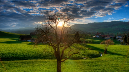 sunrise over a village in a meadow - meadow, creek, village, tree, sunrise, grass