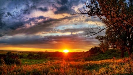 gorgeous autumn sunset hdr - cool, gorgeous, clouds, fields, trees, sunset, hdr, autumn