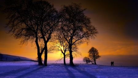 superb winter scene - hill, men, winter, shadows, fog, trees, sunset