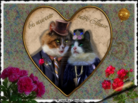 Â¸â¥Â¸Notre AmourÂ¸â¥Â¸ - love, photomanipulation, couple, heart, humourous, notre amour, lovely, creative pre-made, carnations, cuteness, weird things people wear, cats, digital art, beloved valentines, flowers