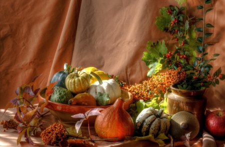 Pumpkins - fall, autumn, photography, food, photo, pumpkin, still life