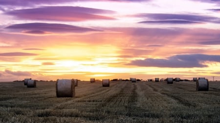 fields with bales of hay at sunset - colors, sunset, bales, fields