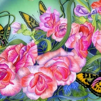 âœ«Sweet Begoniasâœ«