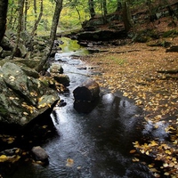 Fall log