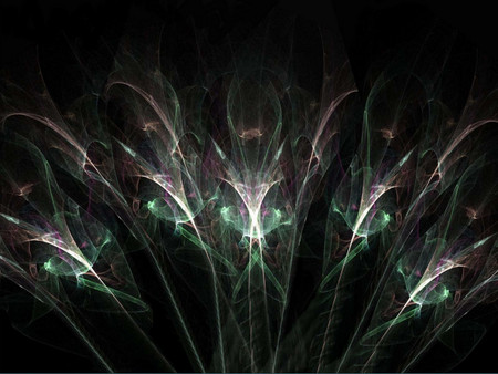 Feathers - fractal, color