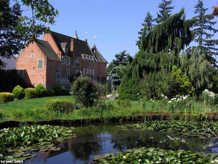 Waterlily pond - waterlilies, house, pond, trees