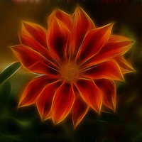 Orange flower-fractal