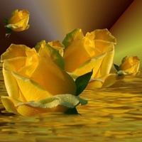 GOLDEN ROSES