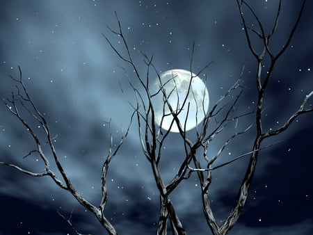 FULL MOON - moon, sky, stars, trees