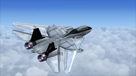 F-14 Tomcat vf 101 Grim Reapers - bomber, wing, fighter, missile, jet, firepower, military, aircraft, air, force, plane