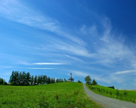 UP TO THE HILL - field, sky, hill, trees