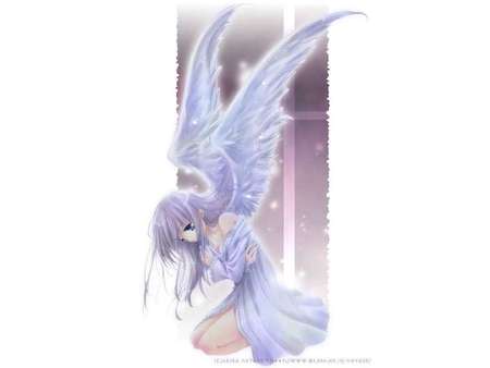 Anime Angel - anime, angel, anime angel