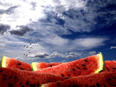 Landscape With Melons On A Frosty Summer Day - melons, summer, frosty, day