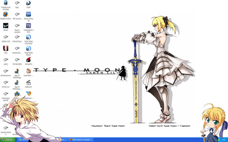 saber lily - fate, stay night