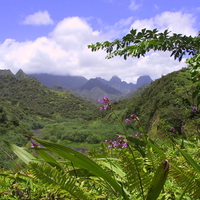 Landscape on Tahiti 