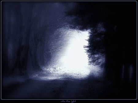 into the light - dark, light