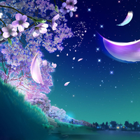 Magical Night's beauty