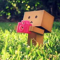 Danbo with Camera