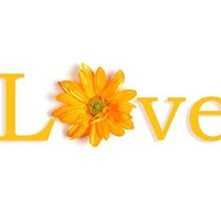 Flowered Love