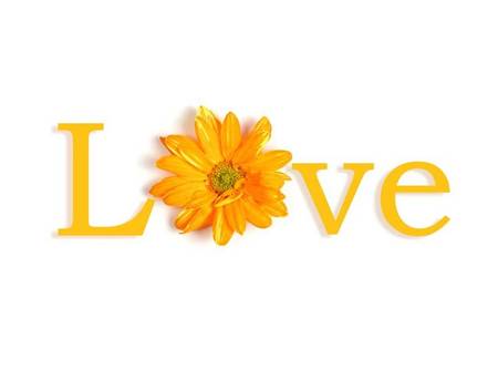 Flowered Love - yellow flower, love, letters