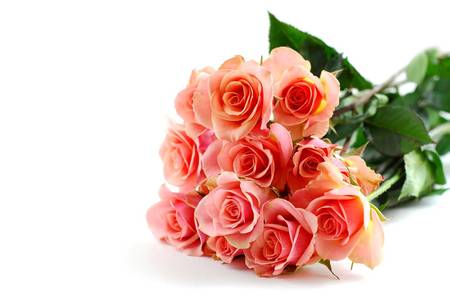 Gift of Roses - roses, pink, bunch of flowers