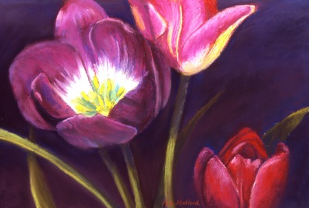 Three Tulips - tulips, art, flowers